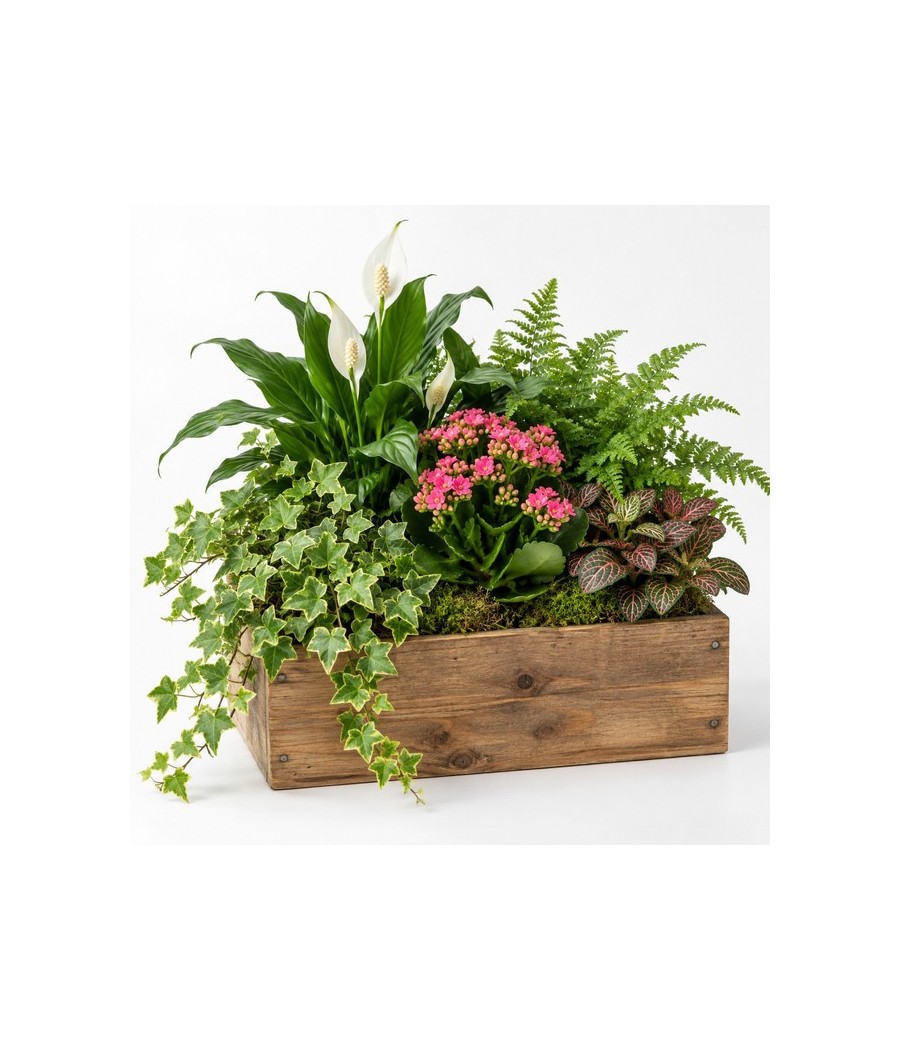 Centro de plantas naturales en caja de madera · Mediano