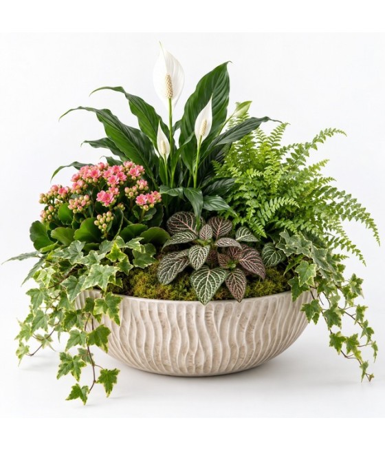 Centro de plantas · Pequeño