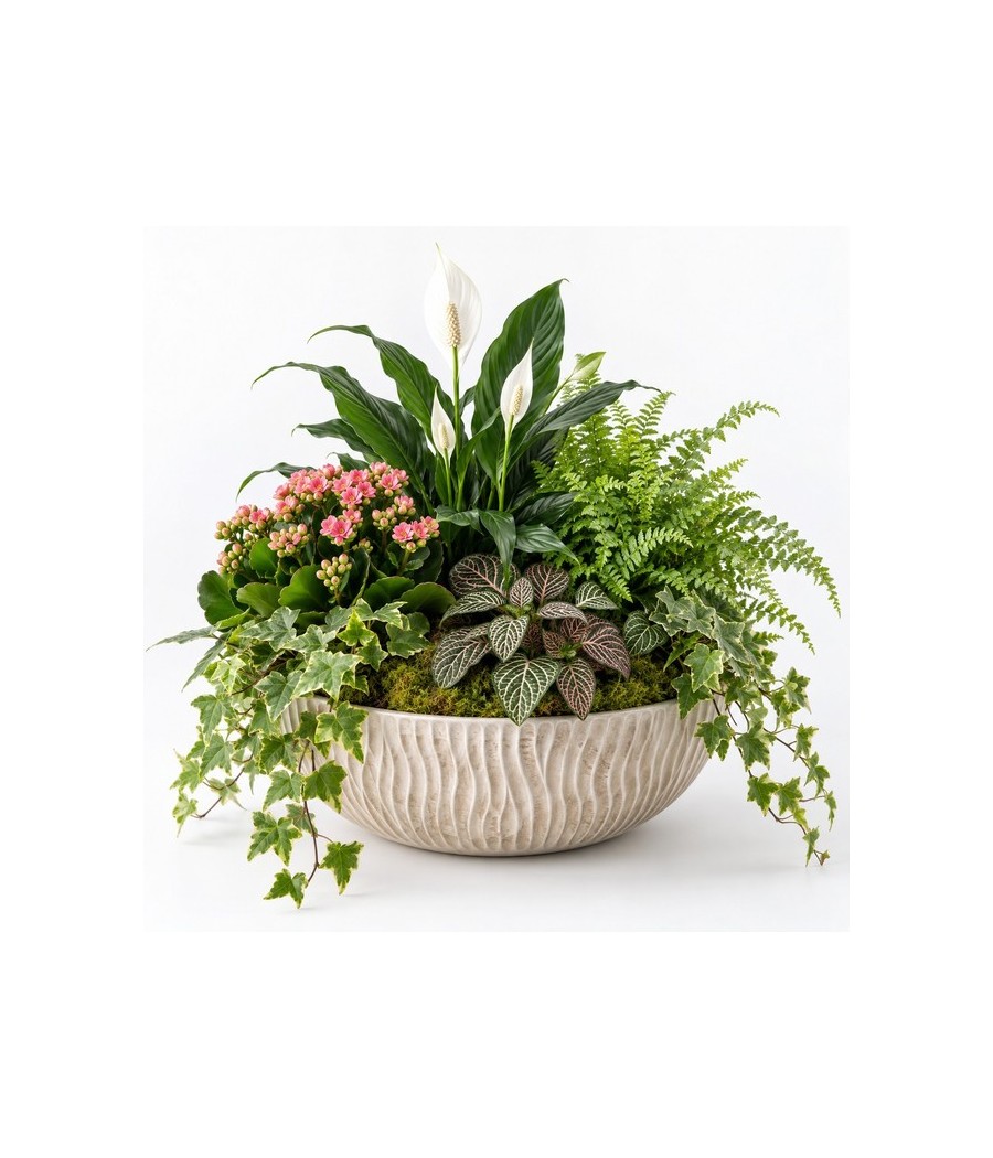 Centro de plantas · Mediano